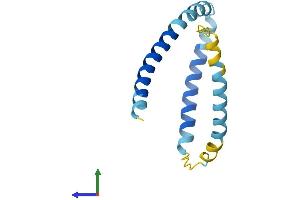 AlphaFold protein structure predicition of Mouse Recombinant Kcne2 Protein, UniprotID Q9D808