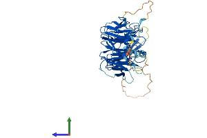 AlphaFold protein structure predicition of Human Recombinant ITFG2 Protein, UniprotID Q969R8 (ITFG2 Protein (AA 1-447) (His tag))