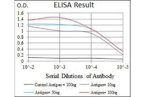 ELISA image for anti-Glutamate Receptor, Ionotropic, AMPA 2 (GRIA2) (AA 652-807) antibody (ABIN1843747)