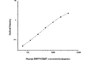 ELISA image for Tumor Necrosis Factor (Ligand) Superfamily, Member 13b (TNFSF13B) ELISA Kit (ABIN6961894)