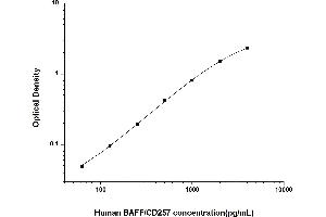 BAFF ELISA Kit