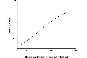 Typical standard curve (BAFF ELISA Kit)