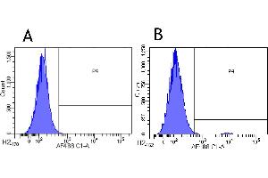 Flow-cytometry using anti-CCR3 antibody 5 E8-G9-B4   Human leukocytes were stained with an isotype control (panel A) or the rabbit-chimeric version of 5 E8-G9-B4 (panel B) at a concentration of 1 µg/ml for 30 mins at RT. (Recombinant CCR3 antibody)