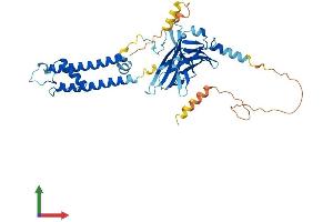AlphaFold protein structure predicition of Human Recombinant KCNJ16 Protein, UniprotID Q9NPI9