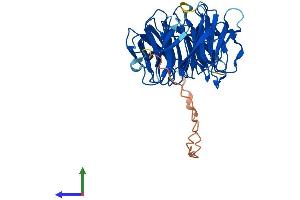 Protein Structure (PS) image for WD Repeat Domain 31 (WDR31) (AA 1-367) protein (His tag) (ABIN7545126)