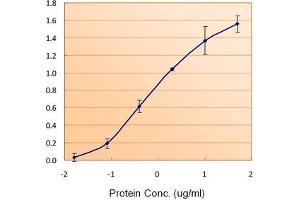 Image no. 3 for anti-Ferritin, Light Polypeptide (FTL) (C-Term), (Light Chain) antibody (ABIN375068) (FTL antibody  (C-Term, Light Chain))