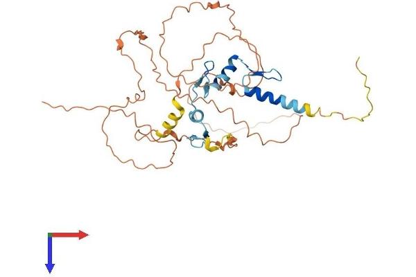 EGR3 Protein (AA 1-387) (His tag)