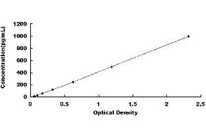 Typical standard curve (INHBE ELISA Kit)