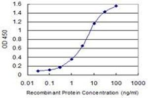 Detection limit for recombinant GST tagged NAPG is 0. (NAPG antibody  (AA 1-100))