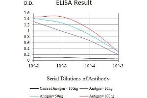 Black line: Control Antigen (100 ng),Purple line: Antigen (10 ng), Blue line: Antigen (50 ng), Red line:Antigen (100 ng) (CXCR1 antibody)