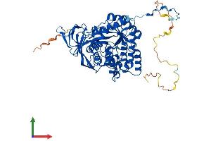 AlphaFold protein structure predicition of Mouse Recombinant Dpysl4 Protein, UniprotID O35098