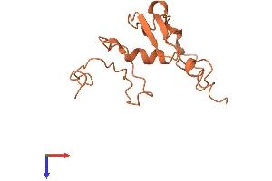 Chromosome 6 Open Reading Frame 195 (C6ORF195) (AA 1-127) protein (His tag)
