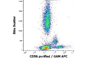 Flow cytometry surface staining pattern of human peripheral whole blood stained using anti-human CD56 (LT56) purified antibody (concentration in sample 2 μg/mL, GAM APC). (CD56 antibody)