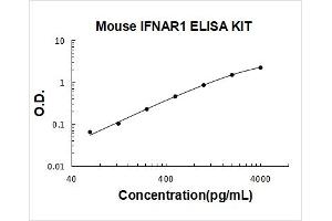 Interferon alpha/beta Receptor 1 (IFNAR1) ELISA Kit