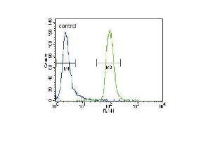 MUSK Antibody (C-term) (ABIN392020 and ABIN2841796) flow cytometric analysis of CEM cells (right histogram) compared to a negative control cell (left histogram). (MUSK antibody  (C-Term))