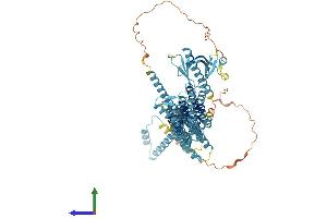Protein Structure (PS) image for Exocyst Complex Component 8 (EXO84) (AA 1-725) protein (His tag) (ABIN7547403)