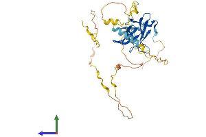 Protein Structure (PS) image for Protein Phosphatase 1, Regulatory Subunit 8 (PPP1R8) (AA 1-351) protein (His tag) (ABIN7550911)