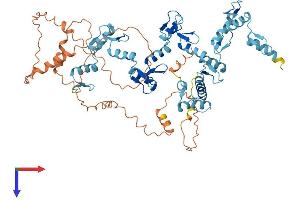 AlphaFold protein structure predicition of Human Recombinant ZNF527 Protein, UniprotID Q8NB42