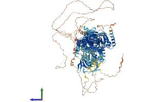 AlphaFold protein structure predicition of Human Recombinant ATP10A Protein, UniprotID O60312 (ATP10A Protein (AA 1-1499) (His tag))