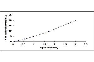 Typical standard curve (RBM24 ELISA Kit)