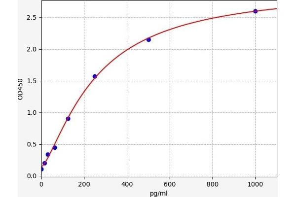 GJB2 ELISA Kit