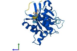 AlphaFold protein structure predicition of Mouse Recombinant Emc9 Protein, UniprotID Q9DB76 (EMC9 Protein (AA 1-206) (His tag))