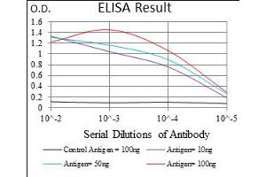 Fig. (SLUG antibody  (AA 100-200))