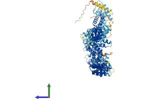 AlphaFold protein structure predicition of Human Recombinant TEX11 Protein, UniprotID Q8IYF3