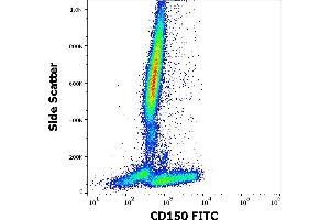 Flow cytometry surface staining pattern of human peripheral whole blood stained using anti-human CD150 (SLAM. (SLAMF1 antibody  (FITC))