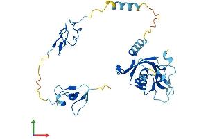 AlphaFold protein structure predicition of Human Recombinant ZFAND1 Protein, UniprotID Q8TCF1