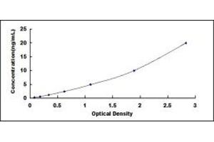 Typical standard curve (NQO1 ELISA Kit)