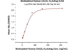 Immobilized Human Mesothelin, His Tag (ABIN2181517,ABIN2181516) at 10 μg/mL (100 μL/well) can bind Biotinylated Human CA125, Fc,Avitag (ABIN5954926,ABIN6253567) with a linear range of 2-78 ng/mL (QC tested). (MUC16 Protein (AA 12660-12923) (Fc Tag,AVI tag,Biotin))