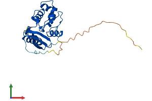 AlphaFold protein structure predicition of Human Recombinant MGMT Protein, UniprotID P16455 (MGMT Protein (AA 1-207) (His tag))