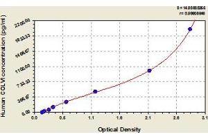 Typical Standard Curve (COL6A1 ELISA Kit)