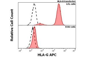 Anti-human HLA-G APC antibody (clone MEM-G/11) specificity verification by flow cytometry Anti-human HLA-G APC (MEM-G/11) antibody (concentration in sample 5 μg/mL, red-filled histogram) binds specifically to HLA-G expressed on surface of HLA-G transfected LCL cells (upper panel), but not to surface of K562 cells (lower panel).
