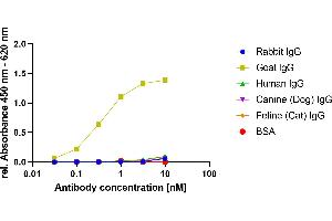 Goat IgG was coated on an ELISA plate at 100 ng. (Recombinant Mouse anti-Goat IgG Antibody)