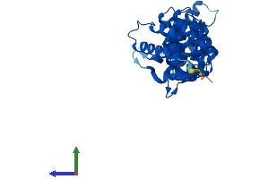AlphaFold protein structure predicition of Mouse Recombinant Cab39 Protein, UniprotID Q06138