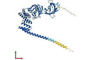 AlphaFold protein structure predicition of Mouse Recombinant Fkbp5 Protein, UniprotID Q64378
