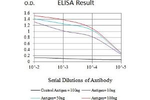 Black line: Control Antigen (100 ng),Purple line: Antigen (10 ng), Blue line: Antigen (50 ng), Red line:Antigen (100 ng) (CD147 antibody  (AA 138-323))