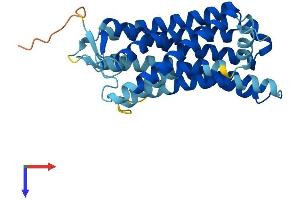 AlphaFold protein structure predicition of Human Recombinant OR2J3 Protein, UniprotID O76001 (OR2J3 Protein (AA 1-311) (His tag))