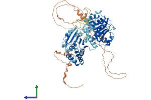 Protein Structure (PS) image for DEAD (Asp-Glu-Ala-Asp) Box Polypeptide 18 (DDX18) (AA 1-670) protein (His tag) (ABIN7547034)