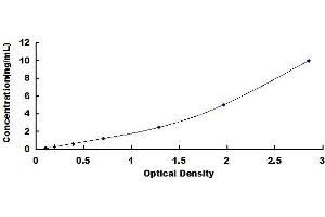 Typical standard curve (Integrin beta 5 ELISA Kit)