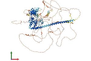 AlphaFold protein structure predicition of Mouse Recombinant Map3k9 Protein, UniprotID Q3U1V8