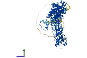 AlphaFold protein structure predicition of Human Recombinant FEM1A Protein, UniprotID Q9BSK4
