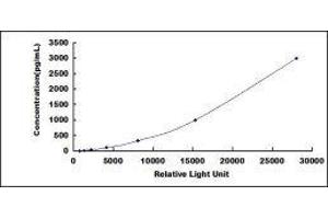 ELISA image for Glial Fibrillary Acidic Protein (GFAP) CLIA Kit (ABIN1081466)