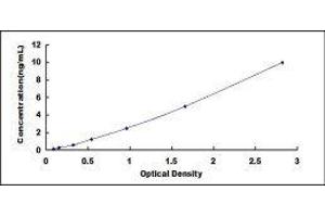 Corticotropin Releasing Hormone Receptor 1 (CRHR1) ELISA Kit