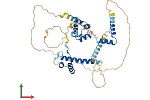 AlphaFold protein structure predicition of Mouse Recombinant Hmbox1 Protein, UniprotID Q8BJA3 (HMBOX1 Protein (AA 1-419) (His tag))