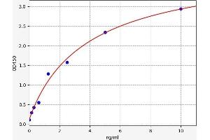 Typical standard curve (SLC41A1 ELISA Kit)