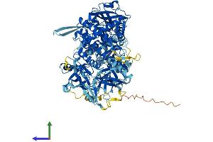 AlphaFold protein structure predicition of Mouse Recombinant Dis3 Protein, UniprotID Q9CSH3