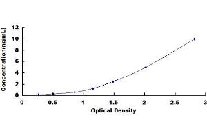 ELISA image for Polymerase (DNA Directed), delta 1, Catalytic Subunit 125kDa (POLD1) ELISA Kit (ABIN421298)